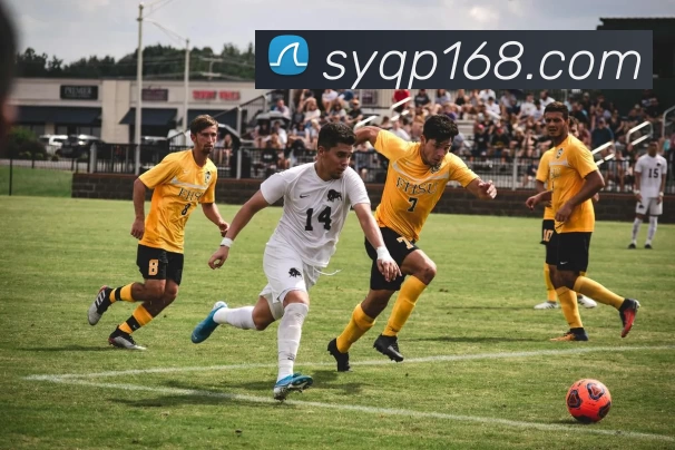 双赢棋牌官网全站App